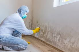 Best Residential Mold Inspection & Testing in La Vernia, TX