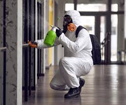 Best Environmental Consulting for Mold Prevention in La Vernia, TX